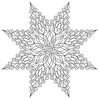 feathered star 001
